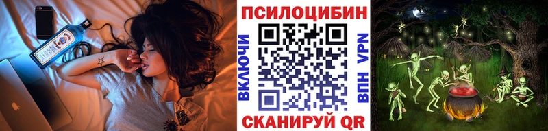 купить   ОМГ ОМГ как войти  Галлюциногенные грибы Psilocybe  Алейск 